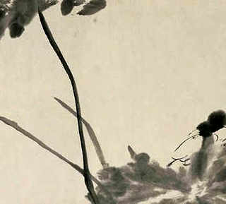 溪水河蟹养殖，上虞哪里可以抓溪水河蟹