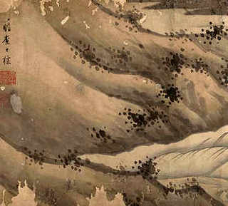 进口大花萱草，大花萱草养殖