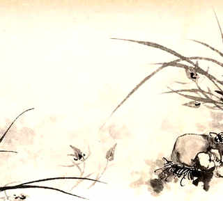桂鱼养殖赚钱吗，桂鱼养殖赚钱吗