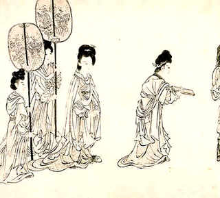小龙虾养殖平台养水草怎么不被夹，养殖小龙虾-水草被龙虾夹没了-再种一些来得及吗