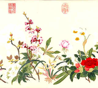 桂林资源竹鼠养殖合作社，桂林养殖竹鼠
