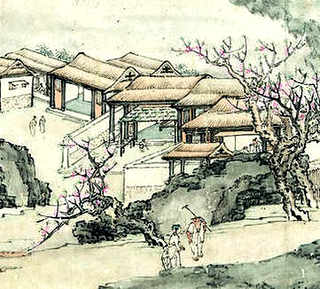 如何养殖蝼蛄虾，鱼缸里养蝼蛄虾