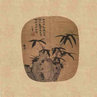 赤链蛇有没有毒性，赤练蛇有没有毒性