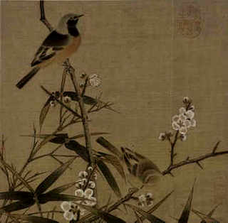 豚鼠养一个好还是养一对好一点，豚鼠养一只好还是养一对