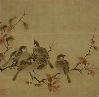 河南境内养殖鲟龙鱼，中国鲟龙鱼养殖基地地址