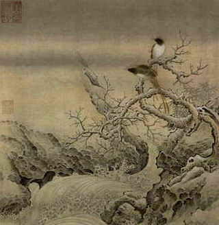 浮萍养殖法，鱼缸浮萍养殖