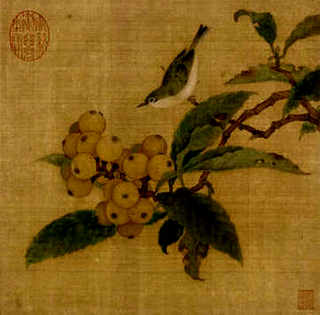 养一只鹅做宠物，如何养一只鹅
