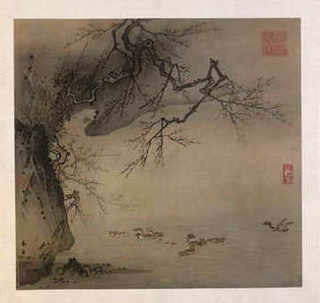 观赏虾有近亲能养吗，观赏虾可以近亲繁育