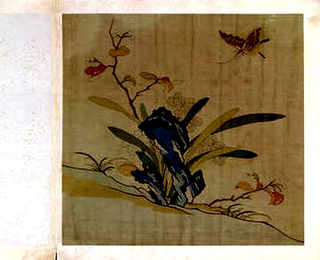 怎么喂养兔子，怎么喂养兔子