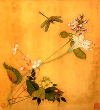 风铃草养殖，风铃草养殖日记图片