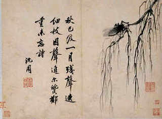 蝎子养殖技术网，仿野生蝎子养殖