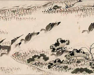 河虾-又称为青虾-在江河里-湖泊-都能看到-河虾吃什么呢，江南特色河虾有哪些品种