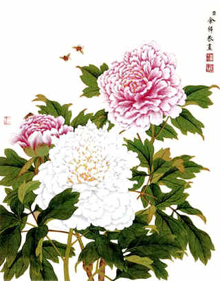 肉鸡预混料发展方向，肉鸡养殖场未来发展方向是什么
