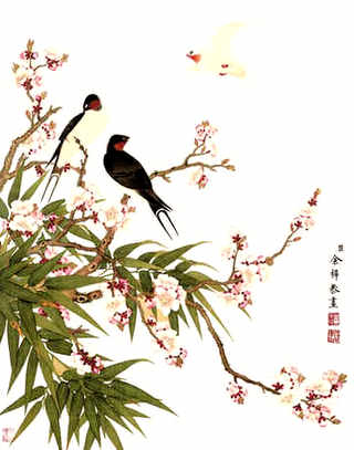 加巢础上面需要涂蜂蜜吗，直接用勺子刮蜂蜜对巢础有什么影响吗