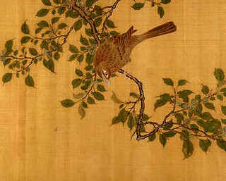 幸福花养殖，幸福花养殖技巧