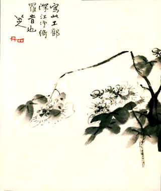 大豆皮-玉米哪个喂鹅好，玉米秸秆喂鹅的营养价值