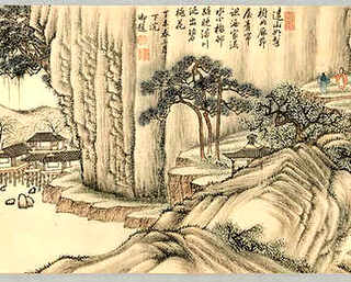 南阳月季花养殖基地，月季花养殖基地