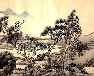 养殖场喂龟，养殖场喂龟
