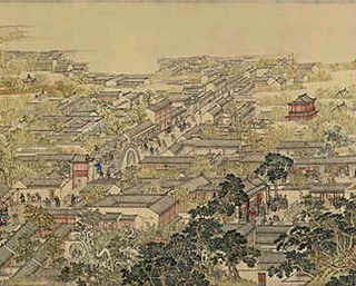 室外养殖洋鸭怎么养，室外养殖洋鸭