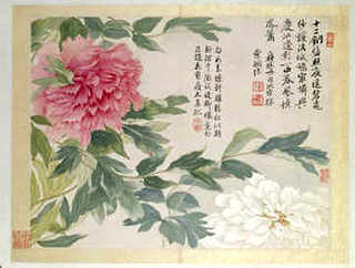 鳊鱼网箱养殖枝术