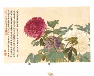 小蝎子养殖方法，小蝎子养殖方法