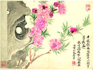 青蛙养殖池，青蛙养殖池