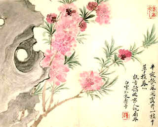 高产鲤鱼的养殖技术，河南鲤鱼高产技术