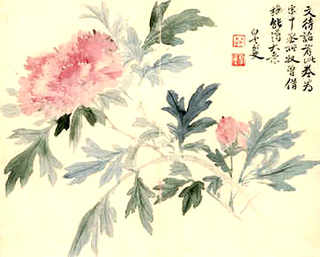 什么牌子的南美白对虾饲料好，正大饲料9230南美白对虾