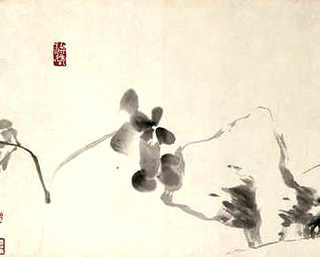 怎样在海里养殖牡蛎，牡蛎养殖全过程视频