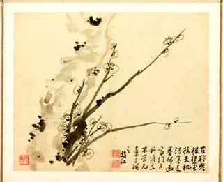 鸵鸟高效养殖技术，鸵鸟养殖视频大全