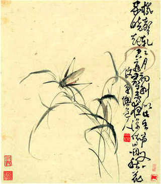 里鱼养殖吗，蚕豆鱼养殖