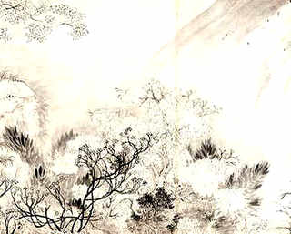 长寿花卉栽培养殖，长寿的花卉有哪些品种