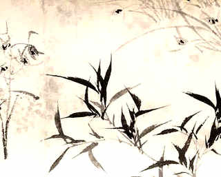 龙虾要每天换一次水吗，龙虾一天换几次水