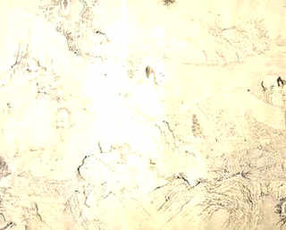 蜜蜂是害虫还是益虫答案，怎么养蜜蜂-蜜蜂属于益虫还是害虫