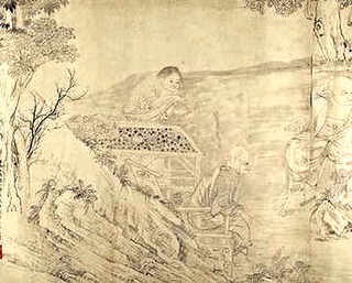 避孕药养殖，避孕药养殖甲鱼