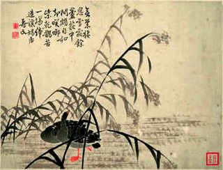什么虾苗最便宜又好养，虾苗左右好养吗还是直接入手左右的