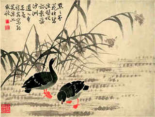 贵州有人养殖虾吗，贵州养虾基地联系方式
