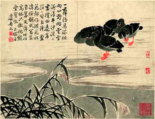 现在养殖养鹅，阳春养鹅养殖