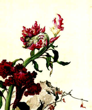 请问蜜蜂箱里取完蜂蜜蜜蜂会搬家吗?，蜜蜂搬进蜂箱会怎样