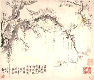 室内养殖青娃，养殖青蛙