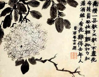我想养鹅又怕别骗，养鹅有套路吗