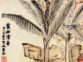 紫叶兜兰的养殖方法，兜兰如何养殖