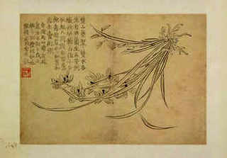野生小龙虾能活多久，野生小龙虾哪种最好