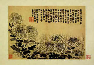 爬叉猴养殖永城，爬叉猴养殖