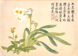 在石逢捉一群蜜蜂-不知有无蜂王-能饲养吗?，捉野蜜蜂进箱没发现蜂王