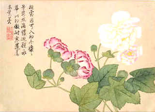 养殖项目七星鱼，致富经养殖七星鱼