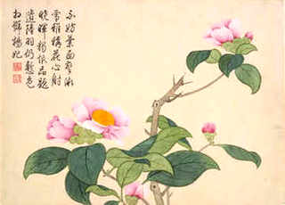 中蜂工产后还会造脾吗，土养中蜂春繁时会造脾吗