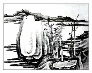 如何设计小龙虾养殖池，小龙虾养殖池多大合适