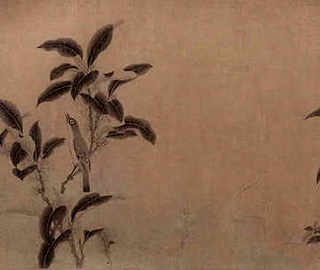 小龙虾苗价格是多少，今天湖北监利小龙虾苗价格