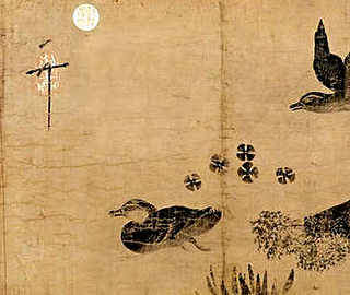 金钱树养殖土配方，金钱树如何养殖
